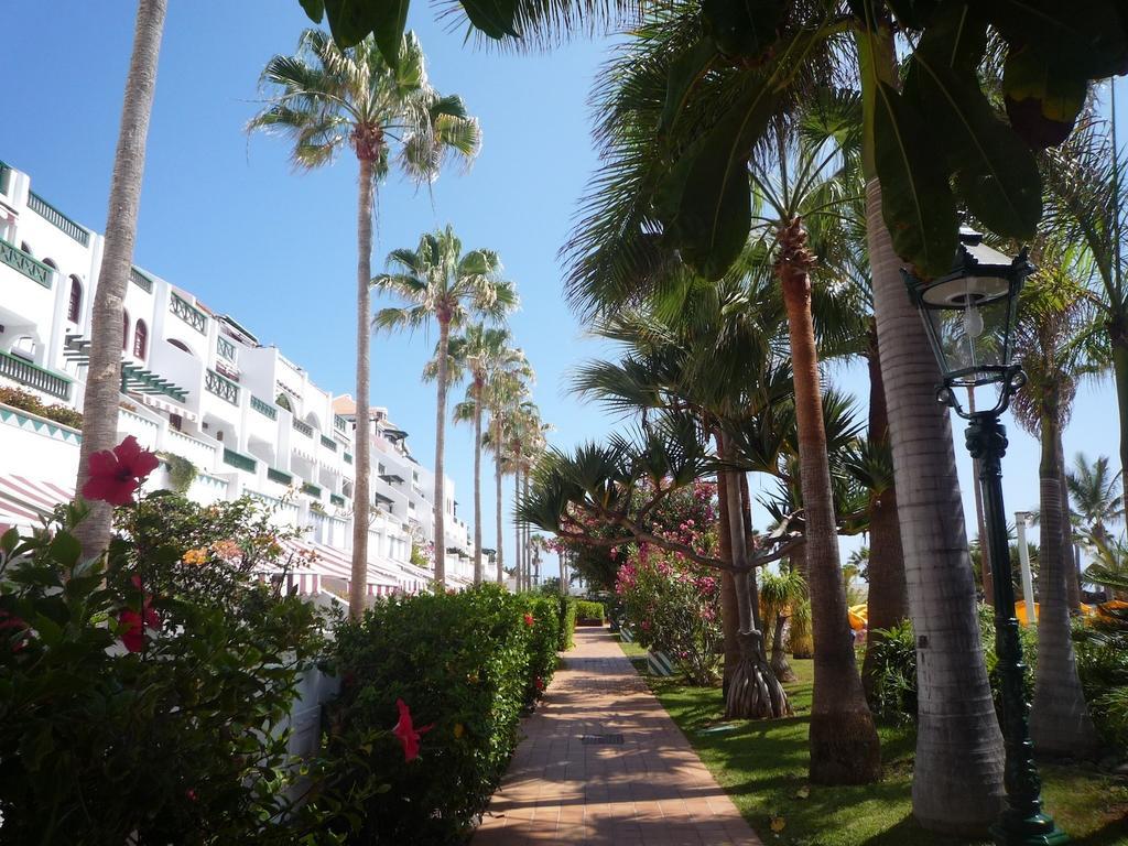 4 Santiago Playa Tenerife Estudio Плая-де-лас-Америкас Номер фото